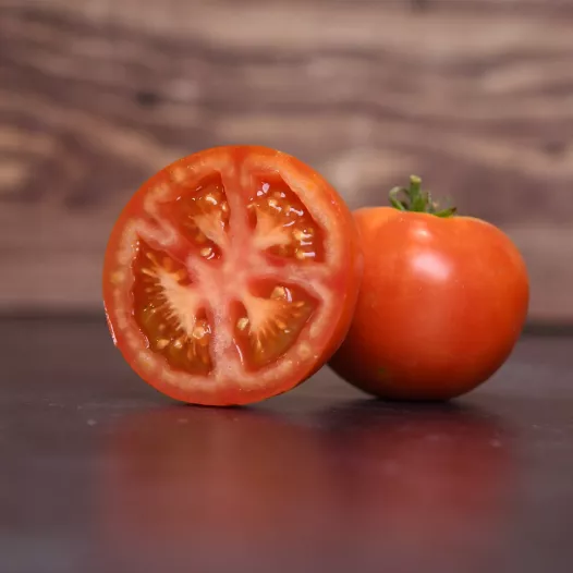 Tomate Merveille des Serres bio - Semailles