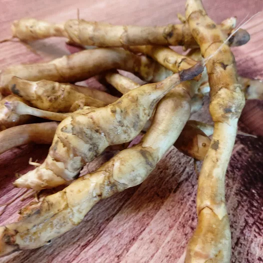 Topinambour Fuseau - 1kg *