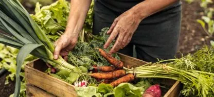 Et si vous offriez des semences garanties reproductibles à vos proches pour Noël ?