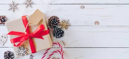 Offrez un cadeau original pour les fêtes de fin d’année : un coffret de semences BIO