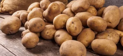 Comment choisir sa pomme de terre à cultiver : farineuse, ferme ou mi-ferme ?