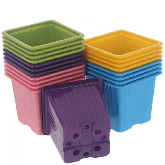 Godets en plastique 5 couleurs - carrés 8cm