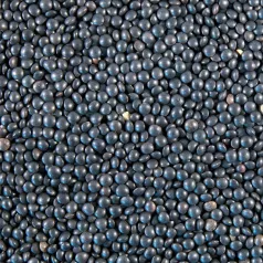 Lentilles Beluga Lentilles Beluga