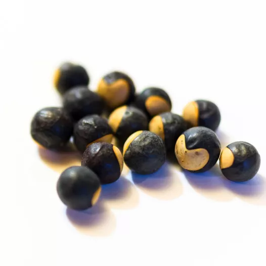 Blaasjeswingerd Blaasjeswingerd