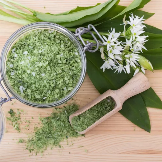 Ail des ours - Aromatiques - Semailles Ail des ours - Aromatiques - Semailles