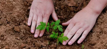 Pourquoi dit-on d’attendre la fin des Saints de glaces pour semer dans son jardin ?