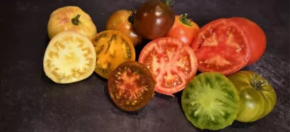 Hoe kies je de juiste tomatenrassen?