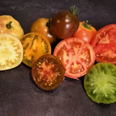 Quelles variétés de tomates choisir pour son potager ?