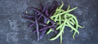 Comment choisir ses variétés de tomates ?