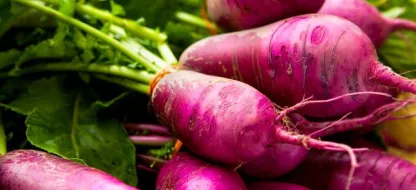 Succes met je raap : ons advies