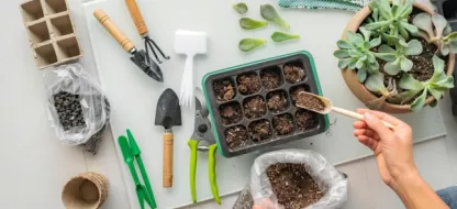 La base du matériel à avoir pour réaliser ses semis au jardin