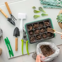La base du matériel à avoir pour réaliser ses semis au jardin La base du matériel à avoir pour réaliser ses semis au jardin