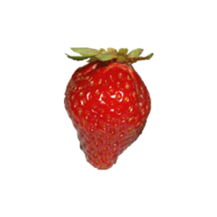 Aardbeipoot Cirafine -12 plants- Calibre A