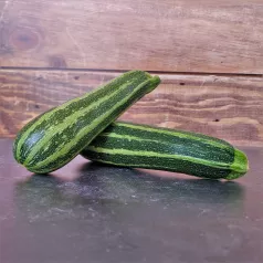 Courgette verte d'Italie Courgette verte d'Italie