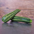 Courgette Verte d'Italie