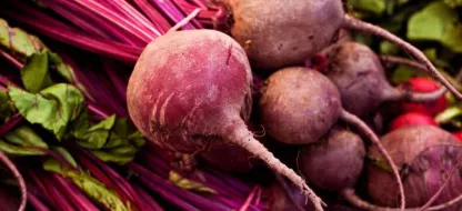 Succes met je prei : ons advies