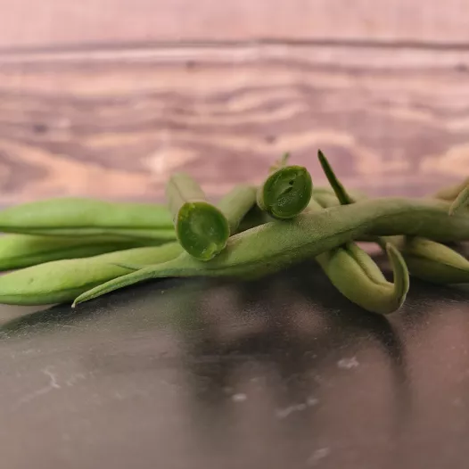 Haricot nain mangetout la Victoire bio - Semailles