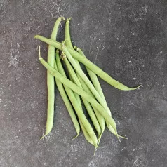 Haricot nain mangetout La Victoire Haricot nain mangetout La Victoire