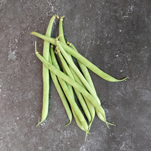 Haricot nain mangetout La Victoire