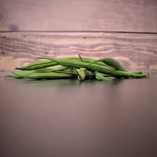 Haricot nain mangetout la Victoire bio - Semailles