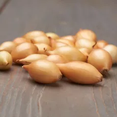 Oignon jaune d'automne Shakespeare - 250gr Oignon jaune d'automne Shakespeare - 250gr