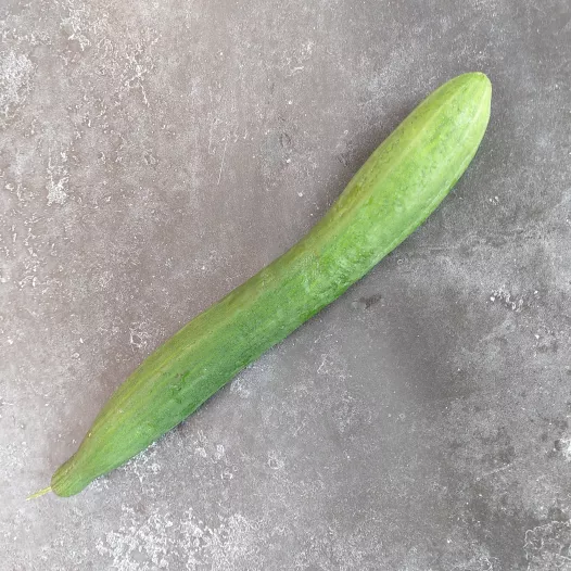 Concombre Rollison's Telegraph