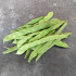 Haricot à rames mangetout Sabre
