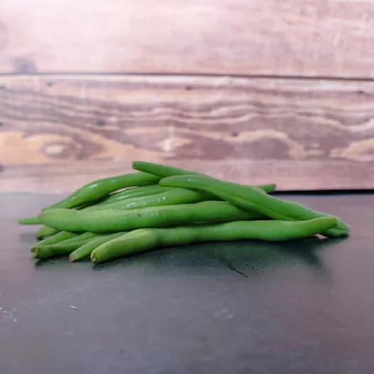 Haricot nain filet Cupidon Haricot nain filet Cupidon