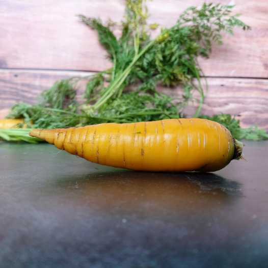 Graines De Carottes Jaunes Du Doubs - Variété Productive, Sucrée, Bonne Conservation Hivernale