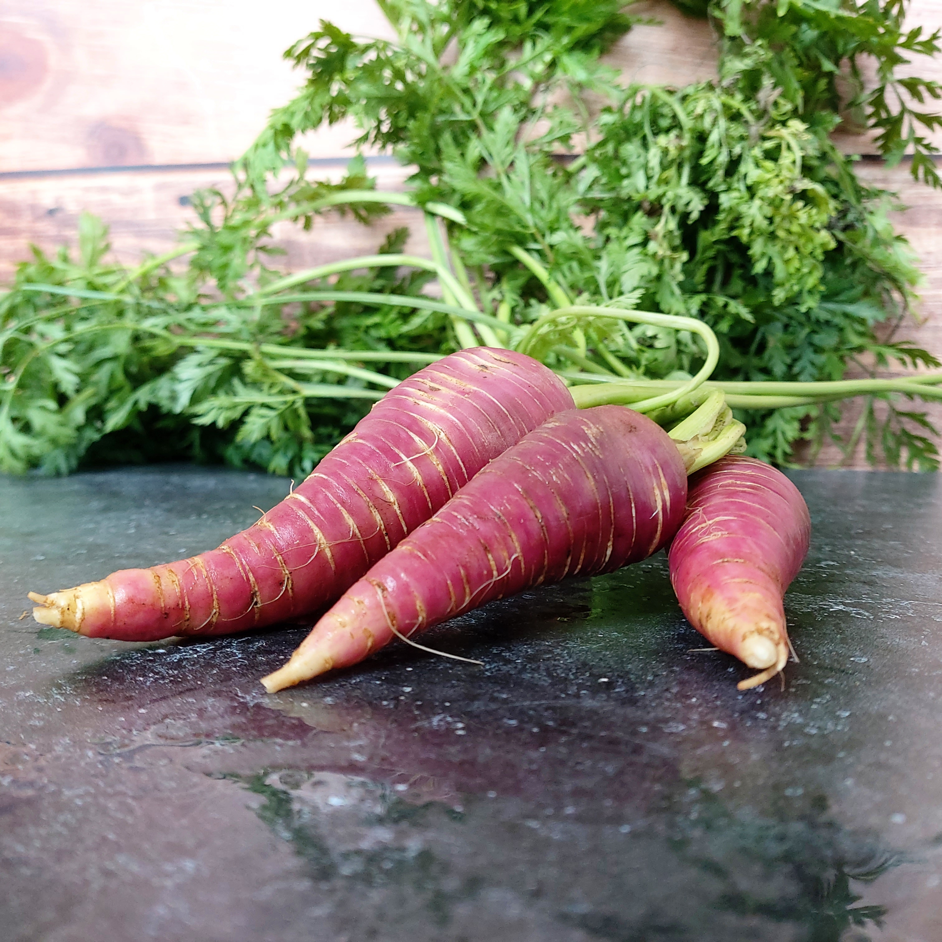 Nos graines potagères de carotte Rouge Sang bio - La Bonne Graine