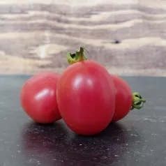 Tomate cerise Rose de Podlaki Tomate cerise Rose de Podlaki