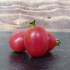 Tomate cerise Rose de Podlaki