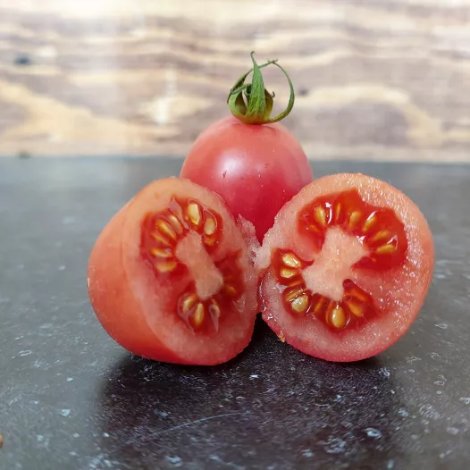 Tomate cerise rose de Podlaki bio - Semailles Tomate cerise rose de Podlaki bio - Semailles