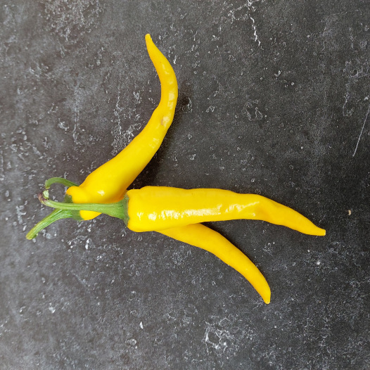 Piment de Cayenne Jaune