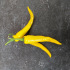 Piment de Cayenne Jaune