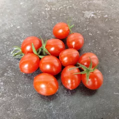 Tomate cerise Myriam Tomate cerise Myriam