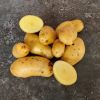 Aardappel Belle de Fontenay - 1KG