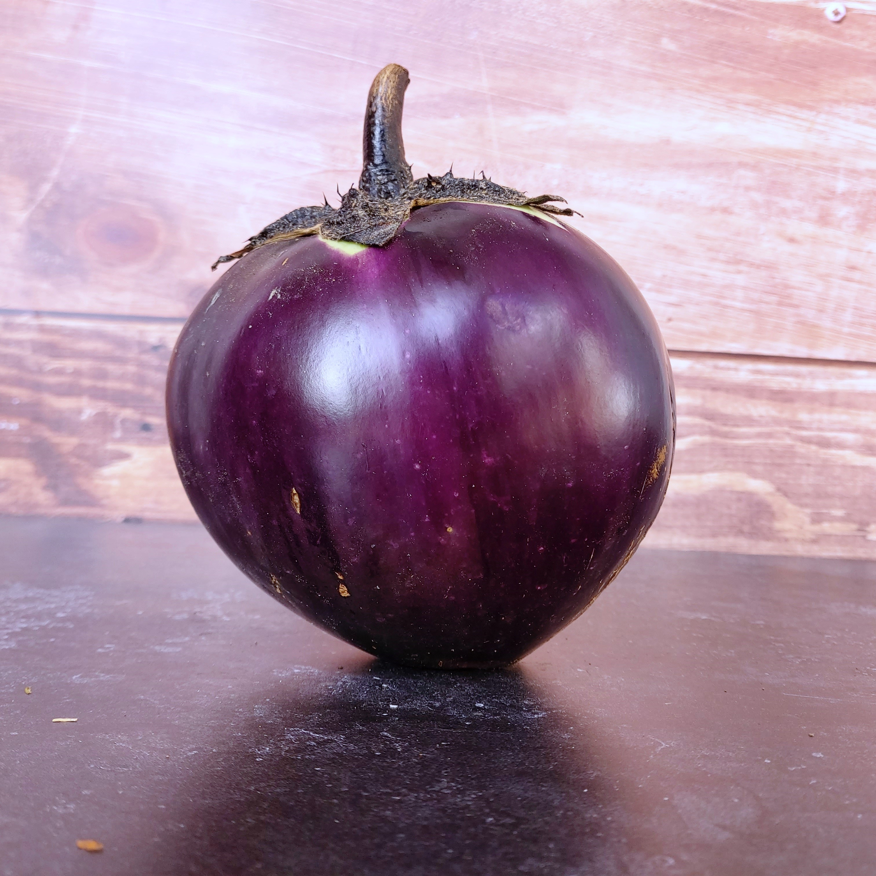 Biologische zaden van Aubergine Ronde de Valence
