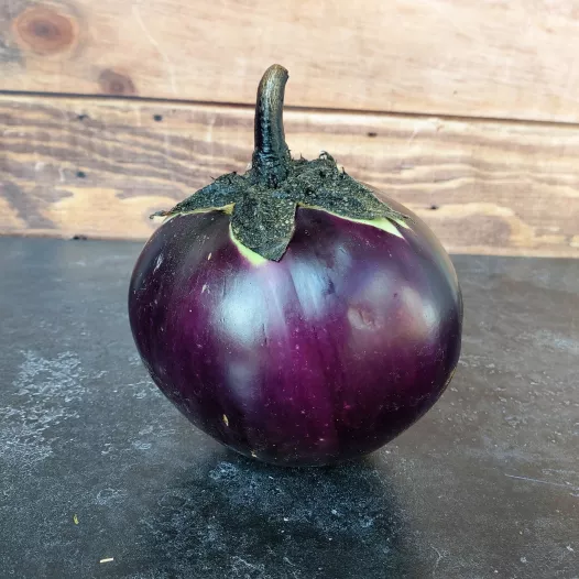 Aubergine Ronde de Valence Aubergine Ronde de Valence