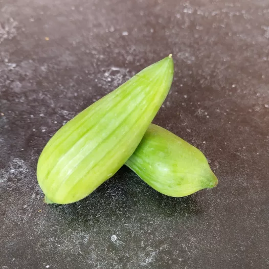 Olijfkomkommer