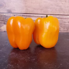 Poivron orange Ariane Poivron orange Ariane