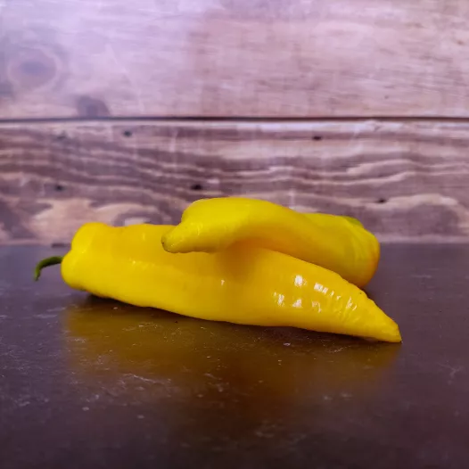 Paprika lolly van Hyères Paprika lolly van Hyères