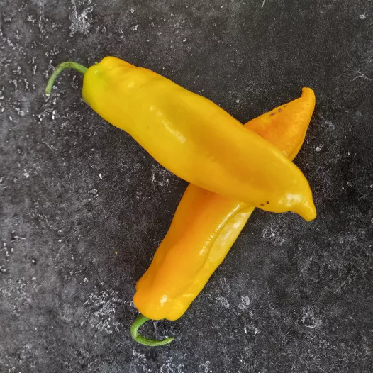 Paprika lolly van Hyères Paprika lolly van Hyères