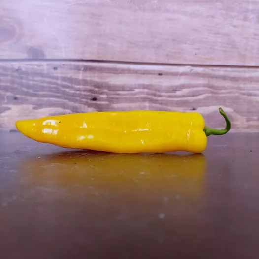 Paprika lolly van Hyères Paprika lolly van Hyères