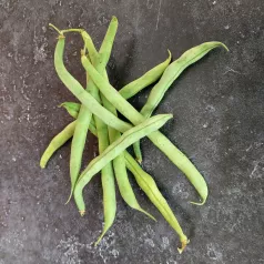 Haricot nain mangetout Calvy Haricot nain mangetout Calvy