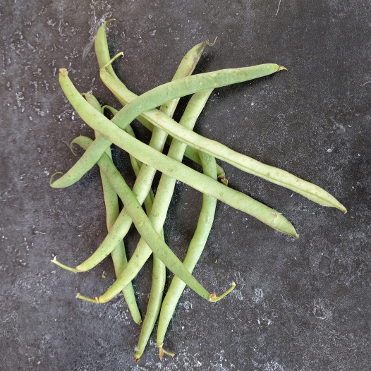 Haricot nain mangetout Roi des Belges