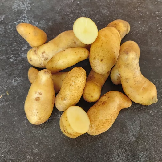 Aardappel Ratte - 1KG