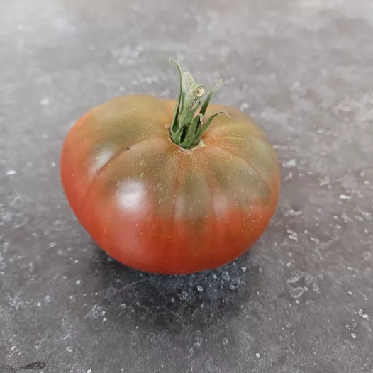 Plant - Tomate Noire de Crimée