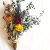 Zaadkit : Mijn gedroogde bloemenboeket