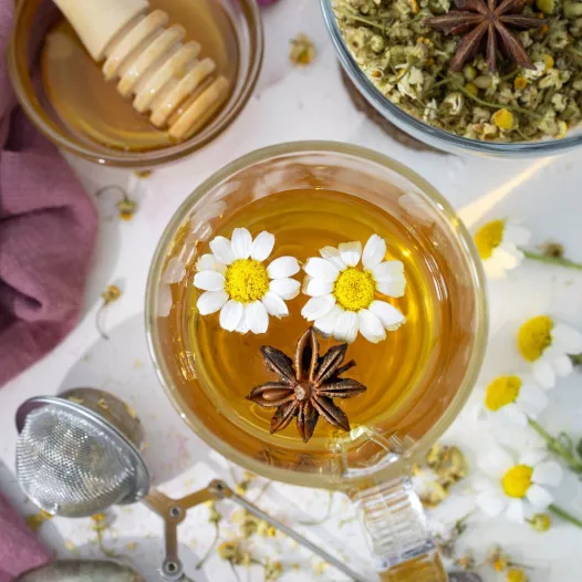 Zaadkit : Infusietuin Zaadkit : Infusietuin